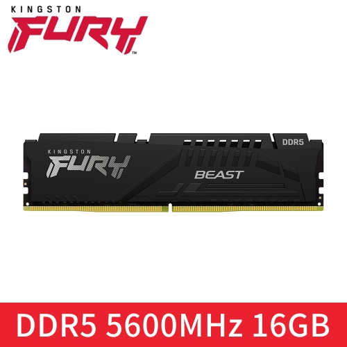 搭4060/4060TI顯示卡，金士頓 Kingston DDR5 5600 16GB FURY Beast (獸獵者) 1:1